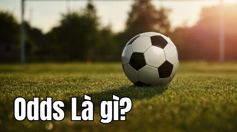 Odds là gì? Định nghĩa và bản chất trong cá cược