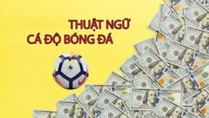 Tầm quan trọng của việc hiểu các thuật ngữ cá cược